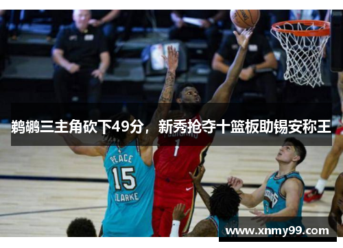 鹈鹕三主角砍下49分，新秀抢夺十篮板助锡安称王