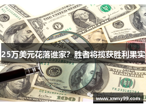 25万美元花落谁家？胜者将揽获胜利果实